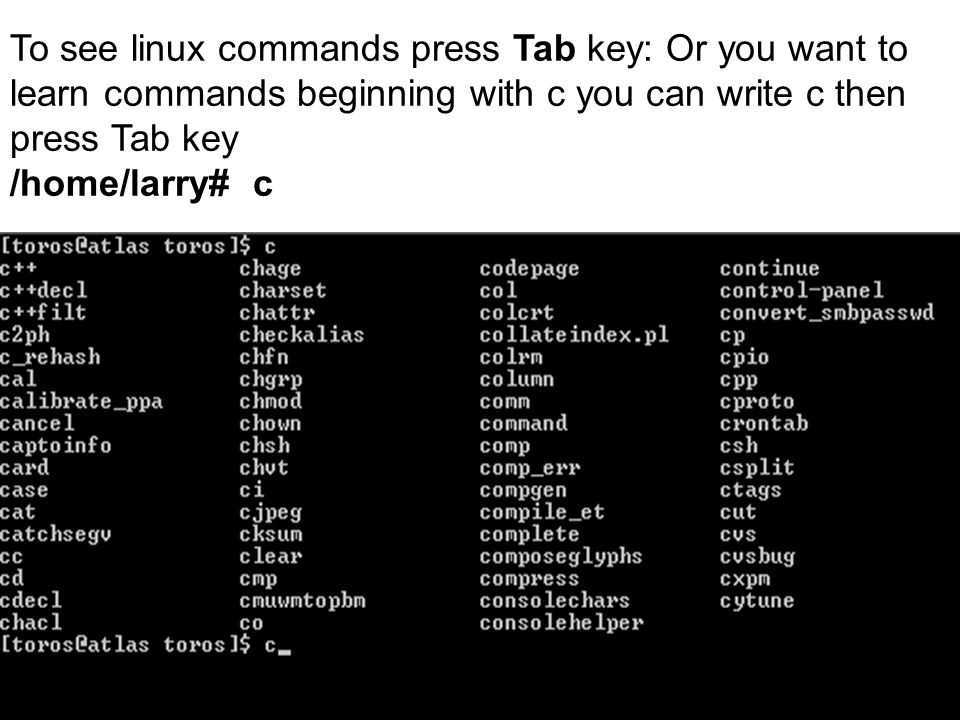 Командная​ ​строка​ ​ubuntu:​ ​основные​ ​команды​ ​bash