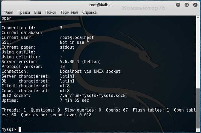 Kali linux настройка. Команды линукс Кали. Команды для kali Linux. Кали линукс системные требования. #Root Кали линукс.