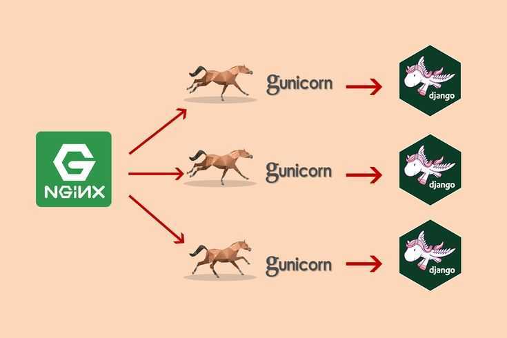 Установка веб-фреймворка django в ubuntu 18.04 | digitalocean
