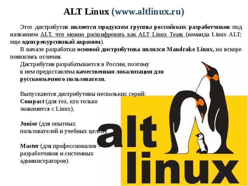 Лучшие дистрибутивы linux: полный обзор