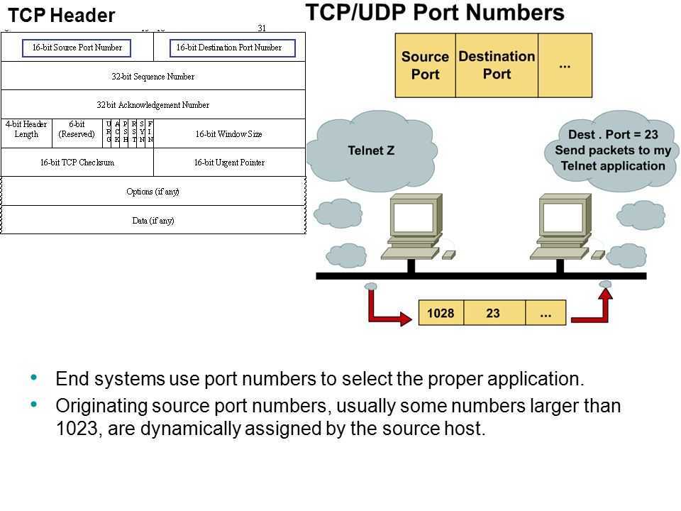 Диагностика сетевого подключения (ping, arp, traceroute, dig, nslookup) - инструкции serverspace