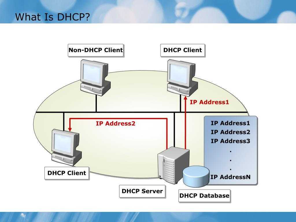 Со статическим ip. Статические и динамические IP адреса. Статическое отображение IP-адресов. DHCP сервер. Статический IP.