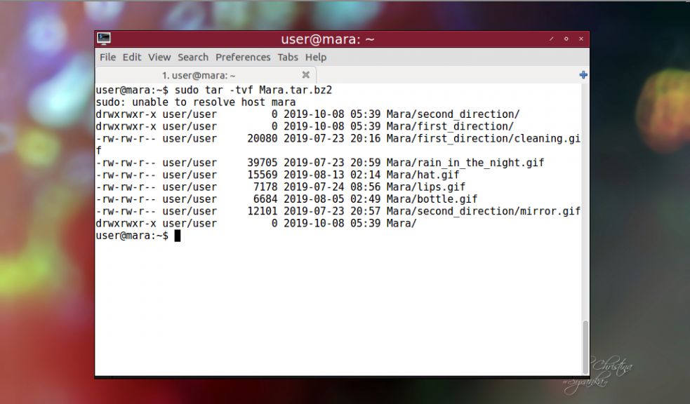 Архив tar linux. Bz2 Формат. Tar Linux. Как установить архив tar.bz2 в Mate.