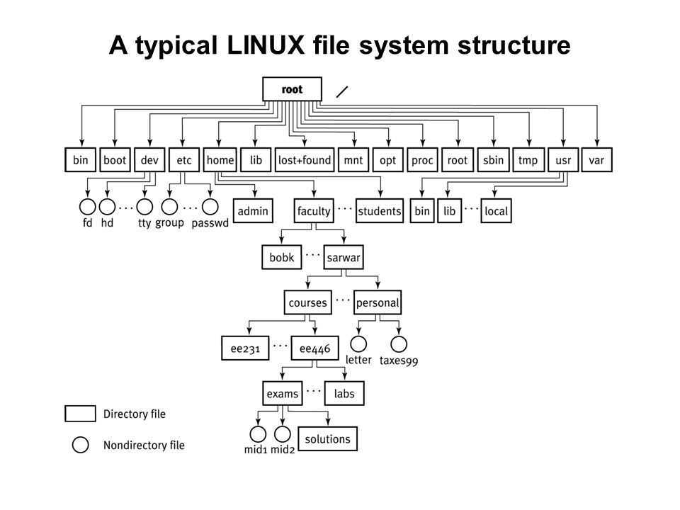 Отличия файловых систем linux и windows / ravesli