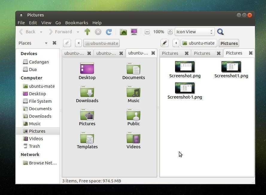Forward linux. Nautilus файловый менеджер для Linux. Файловый менеджер caja. Mate файловый менеджер. Файловый менеджер Ubuntu Mate.