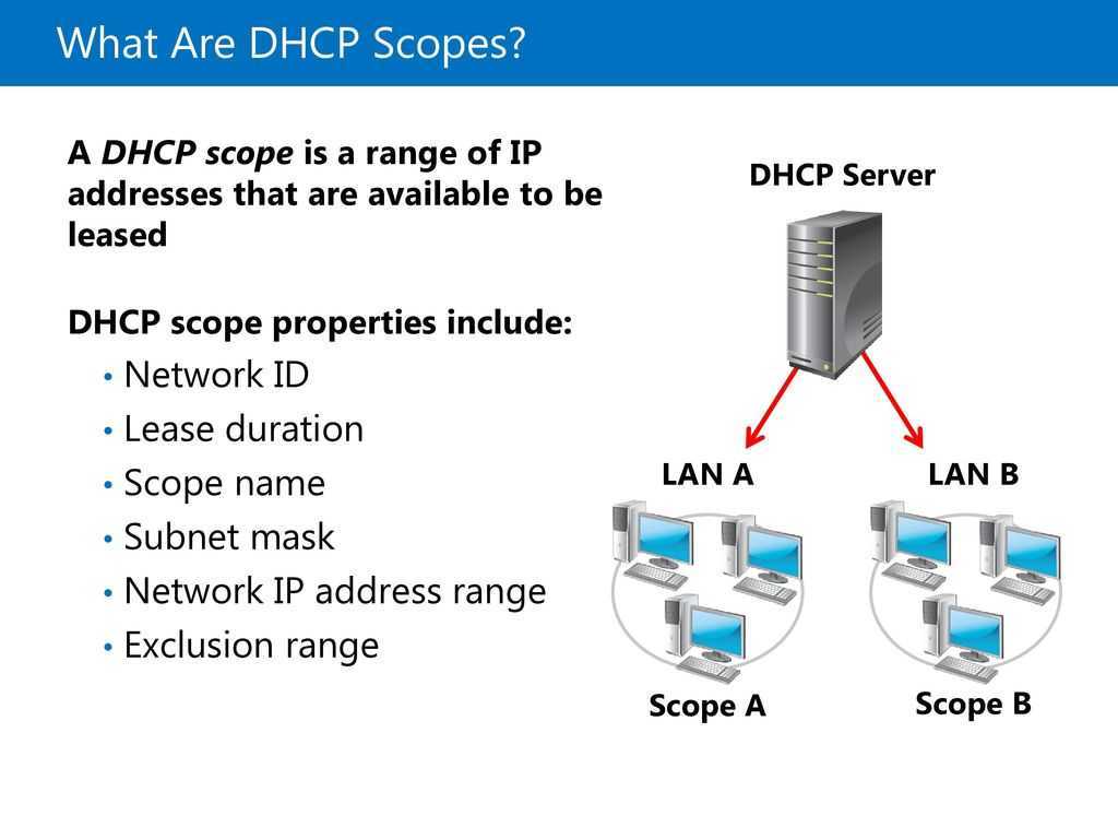 Домен dhcp. Протоколы TCP IP DHCP. DHCP уровень. DHCP сервер. Имя DHCP сервера.