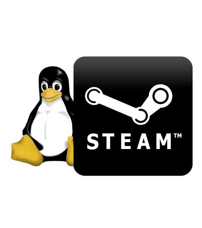 Steam linux. Стим под линукс. Платформа линукс. Linux в теме игры.