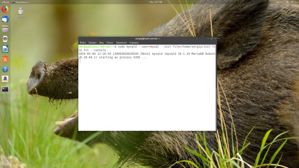 Корзина Linux. Установка OPENJDK. Root Linux install. Как изменить пароль MYSQL Linux.