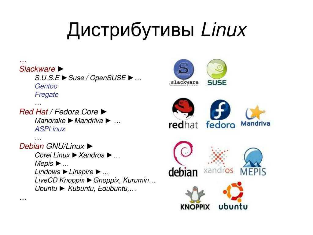 Debian vs ubuntu - основные различия двух популярных дистрибутивов linux • «cyber-x»