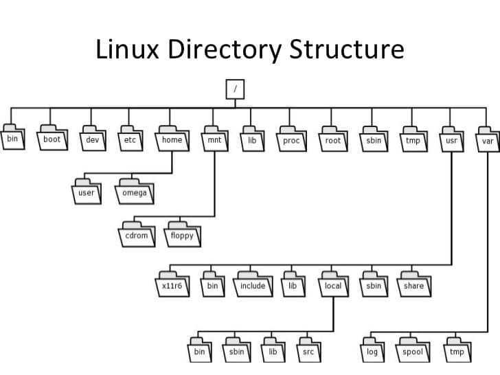 Типы пользователей и права доступа в linux