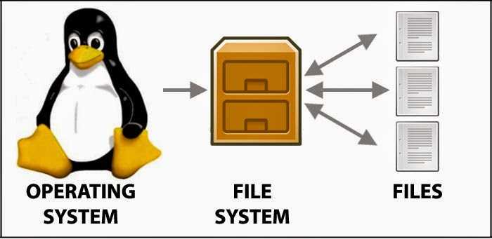 Файловые системы linux