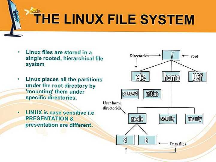 Как создавать каталоги в linux (команда mkdir) - команды linux