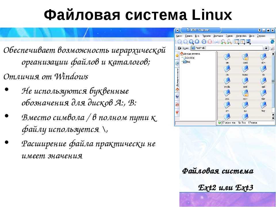 Файловая система linux и структура каталогов | serverspace