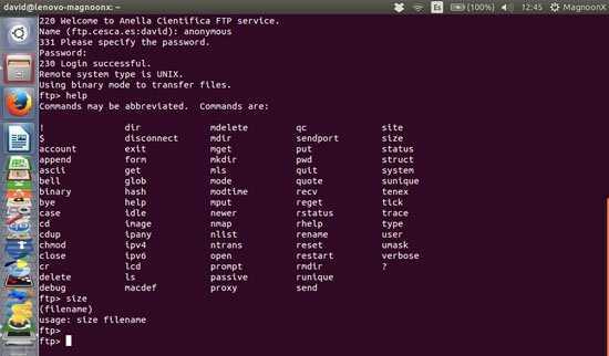 Создание пользователя в linux. команды adduser и useradd