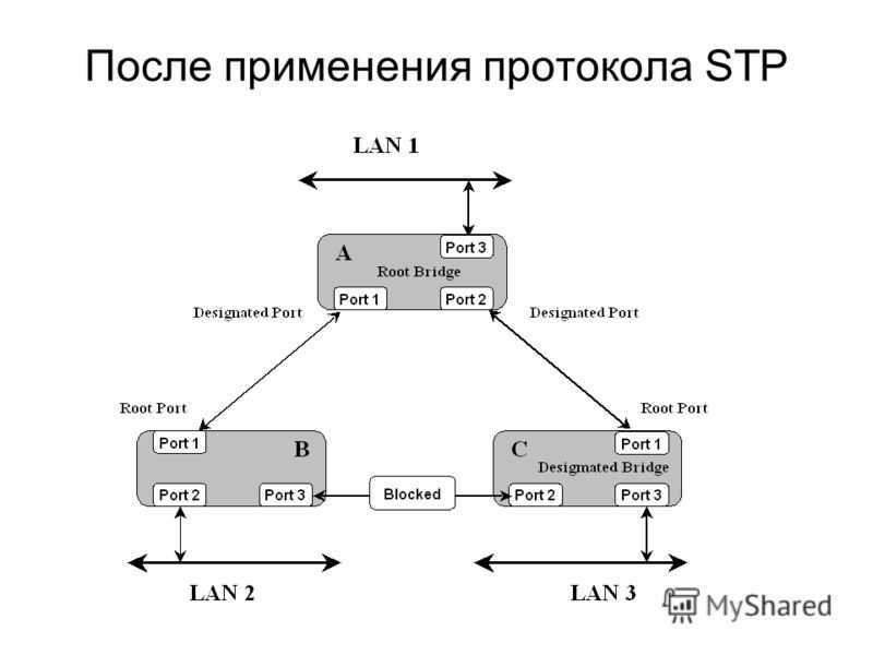 Протокол автономной. STP протокол схема. Автор сетевого протокола STP. Spanning Tree Protocol схема. Состояние портов STP.