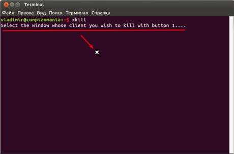 Работа с процессами в linux