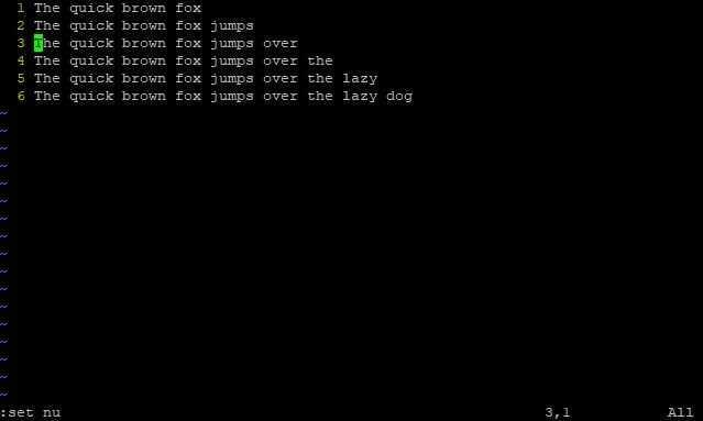 Путь к файлу в linux