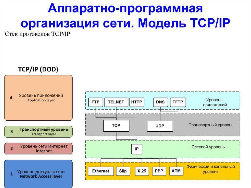 Организация сетевых моделей. Модель и стек протоколов TCP/IP. Стек протоколов TCP/IP задачи. Семейство сетевых протоколов TCP/IP. Прикладные протоколы стека TCP/IP..