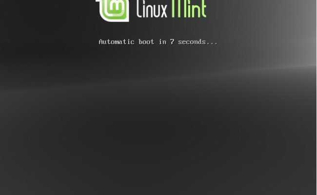 Linux mint 20.1 - просто и красиво. «и вот с того дня я ни разу не запускал windows...»