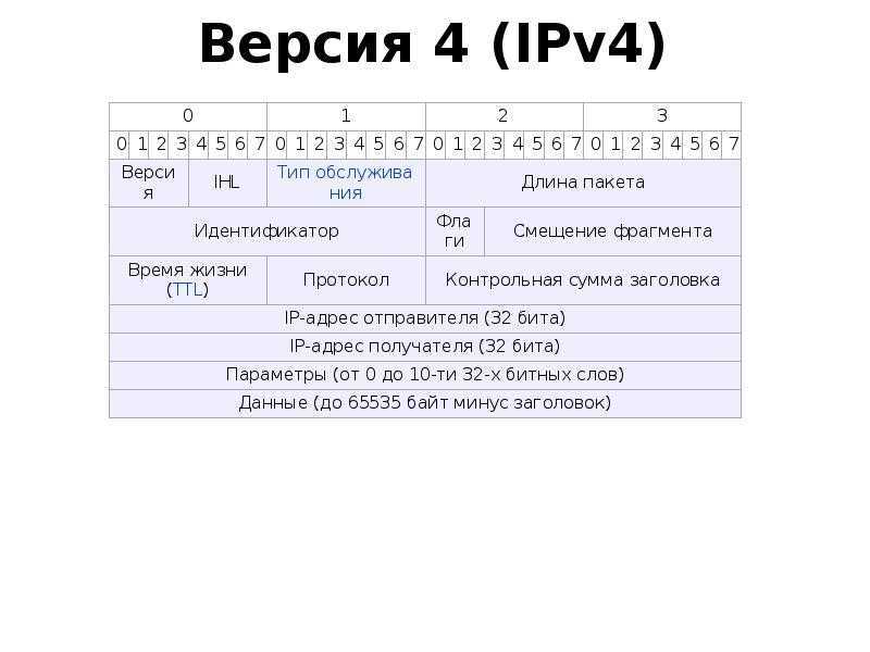 Пакет ip адресов. Структура ipv4 протокола. Структура IP пакета ipv4. Протоколы ipv4 и ipv6. Структура пакетов ipv4 и ipv6.