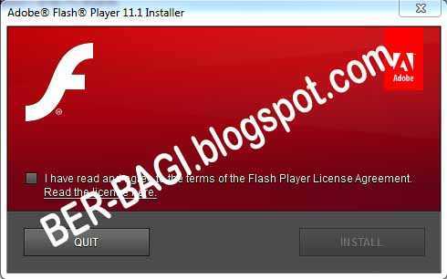 Игра adobe flash player. Автономный Flash Player. Движок Adobe Flash Player. Флеш плеер 2023. Adobe Flash Player 11.7.700.169.