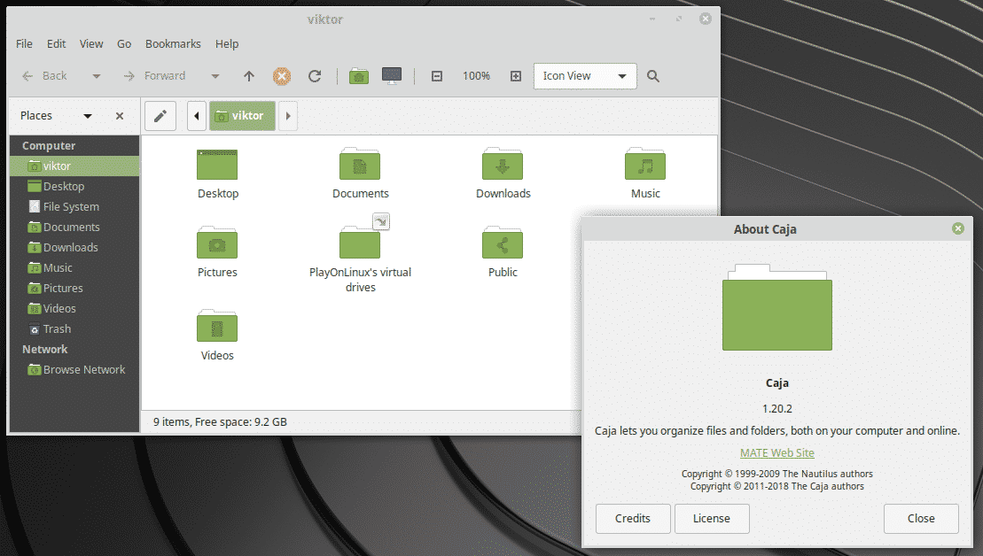 Linux mint выбрать. Линукс минт Cinnamon. Ubuntu Mint Cinnamon. Mint Cinnamon или Mate. Линукс минт корица.