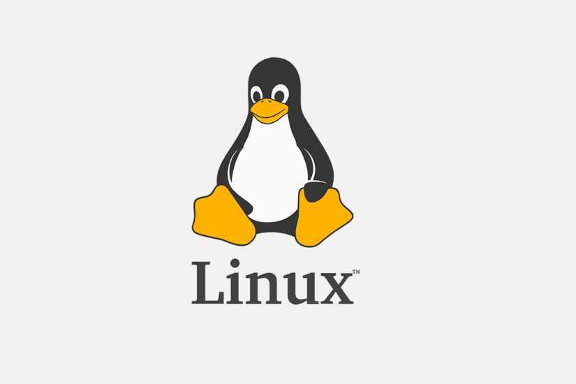 Разработчики знаменитых linux-дистрибутивов готовят бойкот google из-за его драконовских правил - cnews